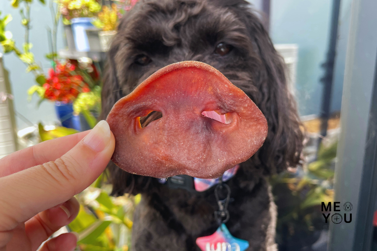 How to Dehydrate Treats