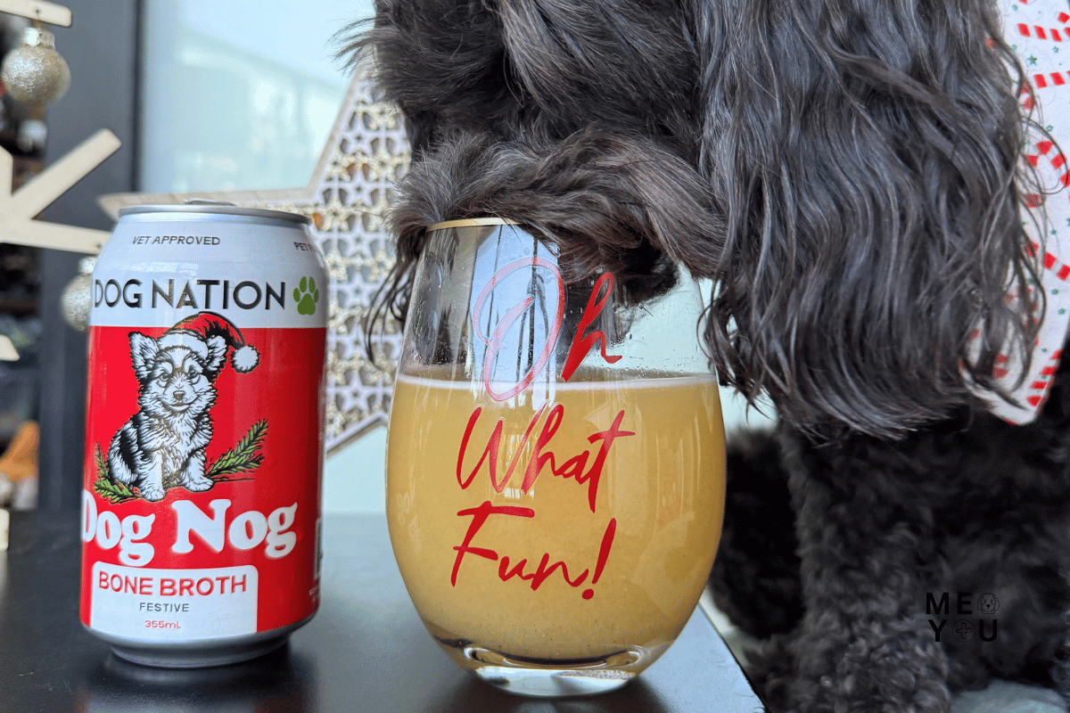 Specialty Dog Drinks